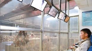 20131206092950_0906 20131206092950_0906